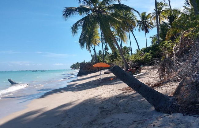 Playa de Maragogi - Foto 2